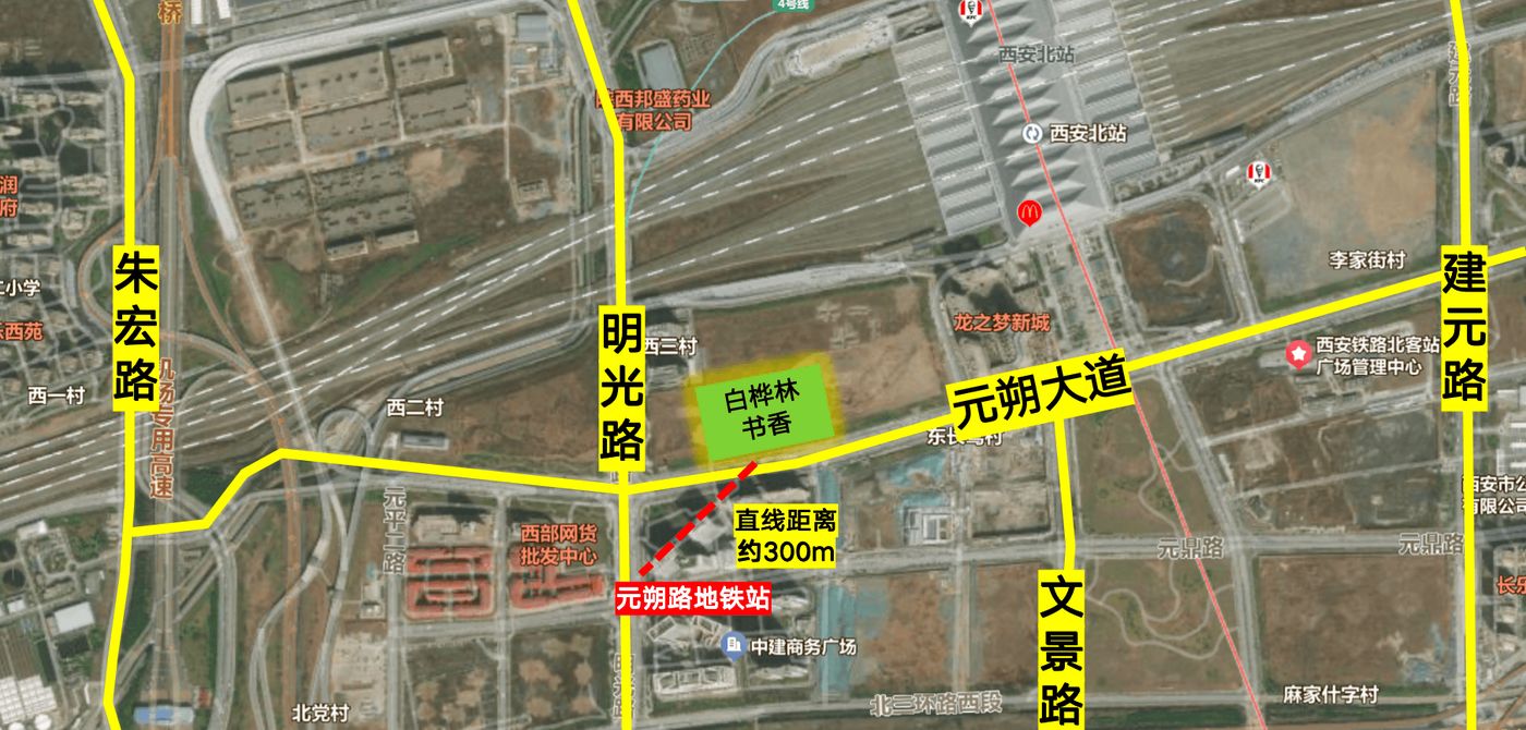 白桦林书香