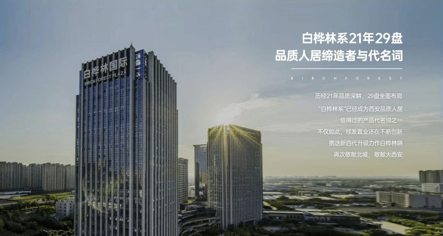 白桦林晓 配套